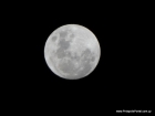 Cabalgata de la luna llena en Punta Negra
