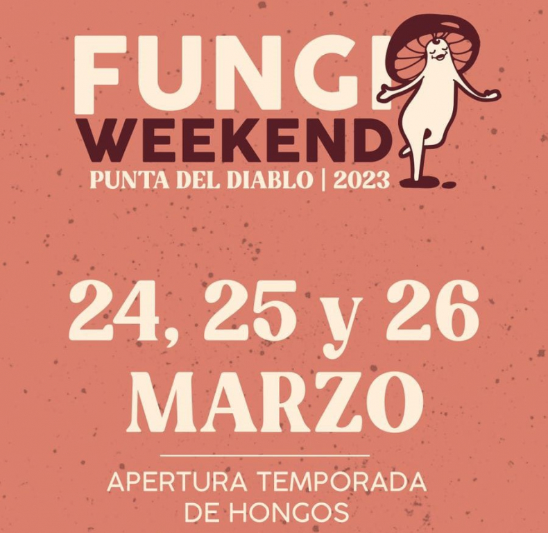 Fungi Weekend: comienza la temporada de hongos en Punta del Diablo