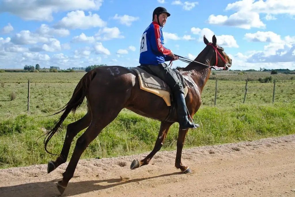 Rocha se llena de actividades culturales en agosto de 2024