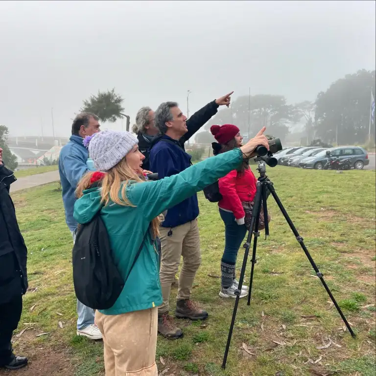 Participá de jornadas de observación de aves en Maldonado: mirá cuándo y dónde