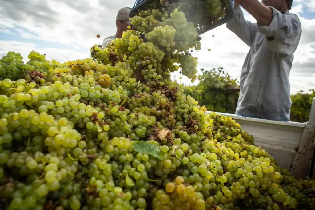 Día del Patrimonio 2024: a quién homenajean y qué visitar