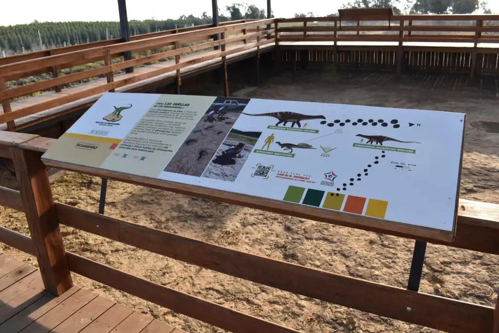 Ruta de los Dinosaurios en Tacuarembó: huellas que revelan el pasado jurásico de Uruguay
