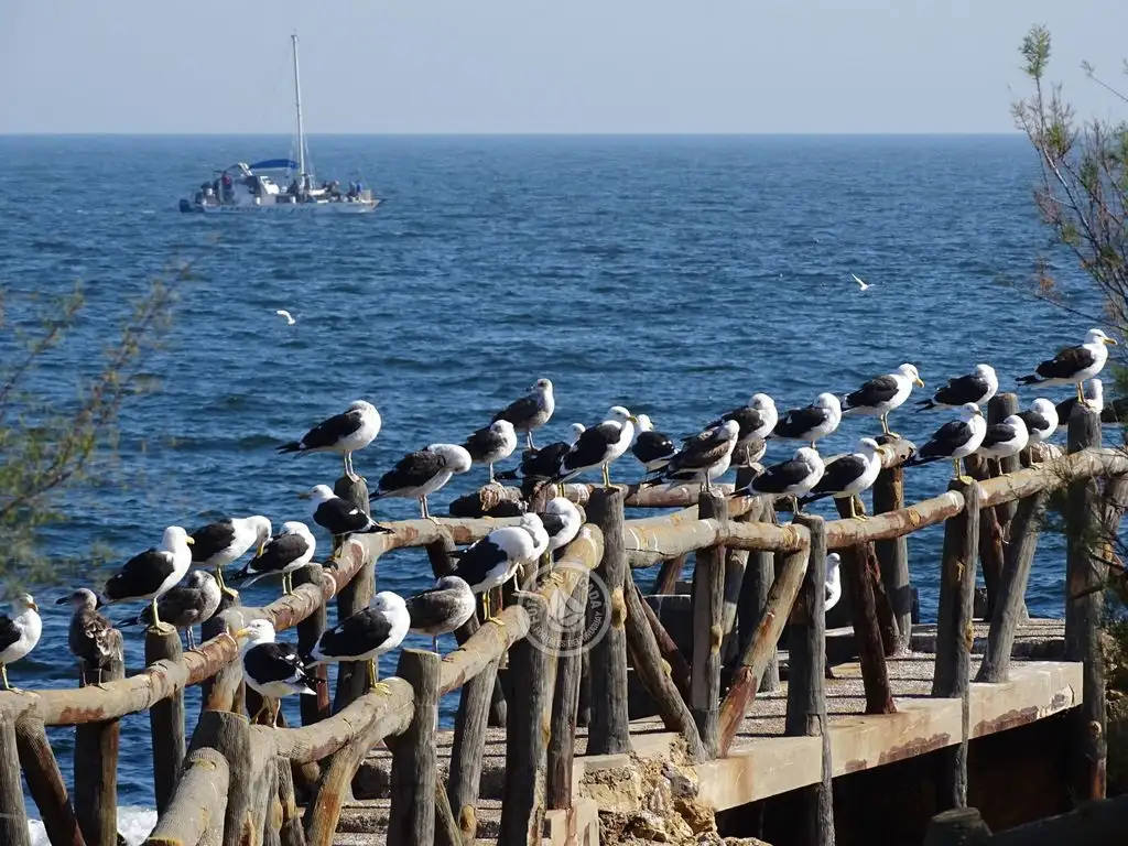 Punta Fría renueva su mística con los Senderos Peregrinos