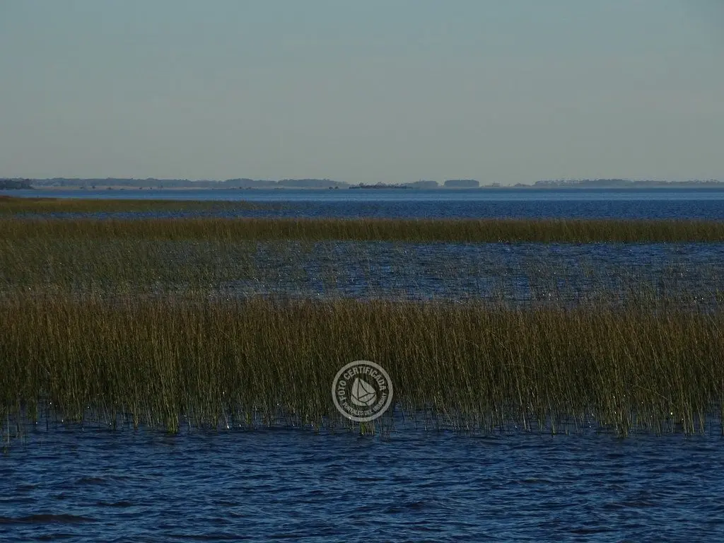 Dónde ir a una laguna en Uruguay: 13 opciones y qué se puede hacer en cada una