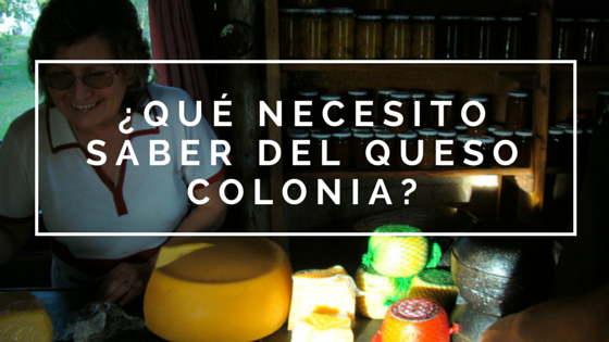¿Qué necesito saber del Queso Colonia?