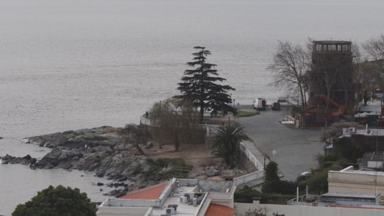 ¡Actividades del 336º de Colonia del Sacramento!