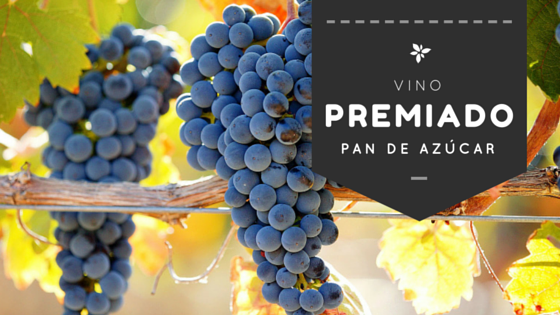 El mejor Merlot del mundo es de Pan de Azúcar