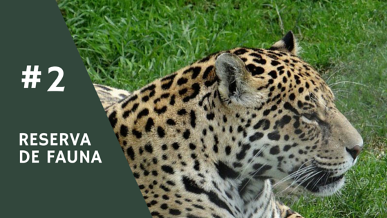 Qué hacer en 72 horas en Piriápolis