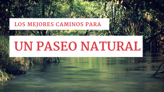 Los mejores lugares para un paseo natural 