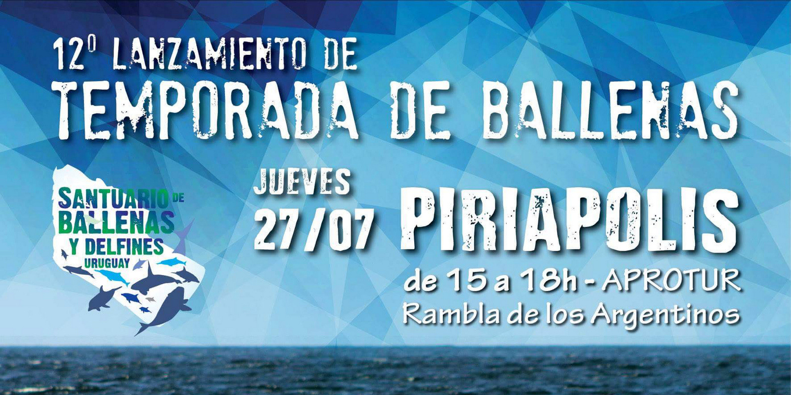 Comienza la temporada de ballenas!