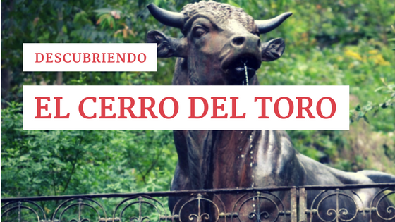 Descubriendo el Cerro del Toro
