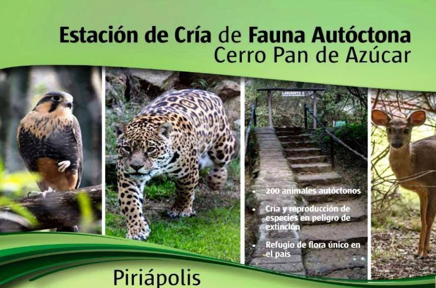 Visitas guiadas en la Estación de cría de fauna y flora autóctona!