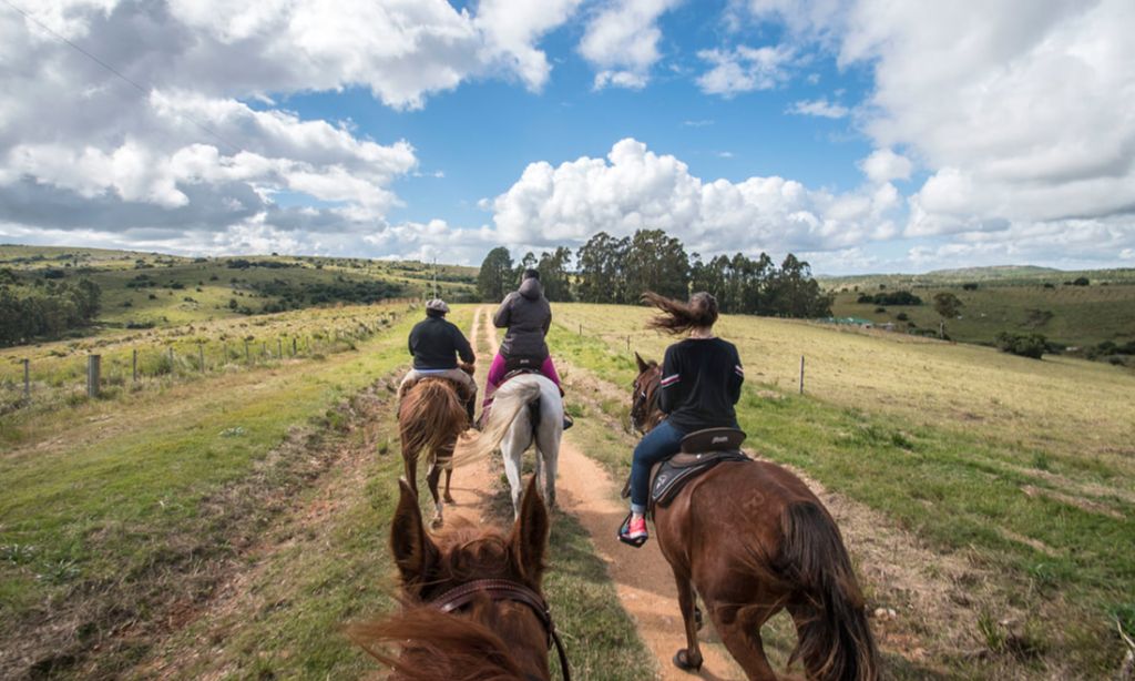 La Ruta del Caballo: turismo de cabalgatas y naturaleza en Uruguay