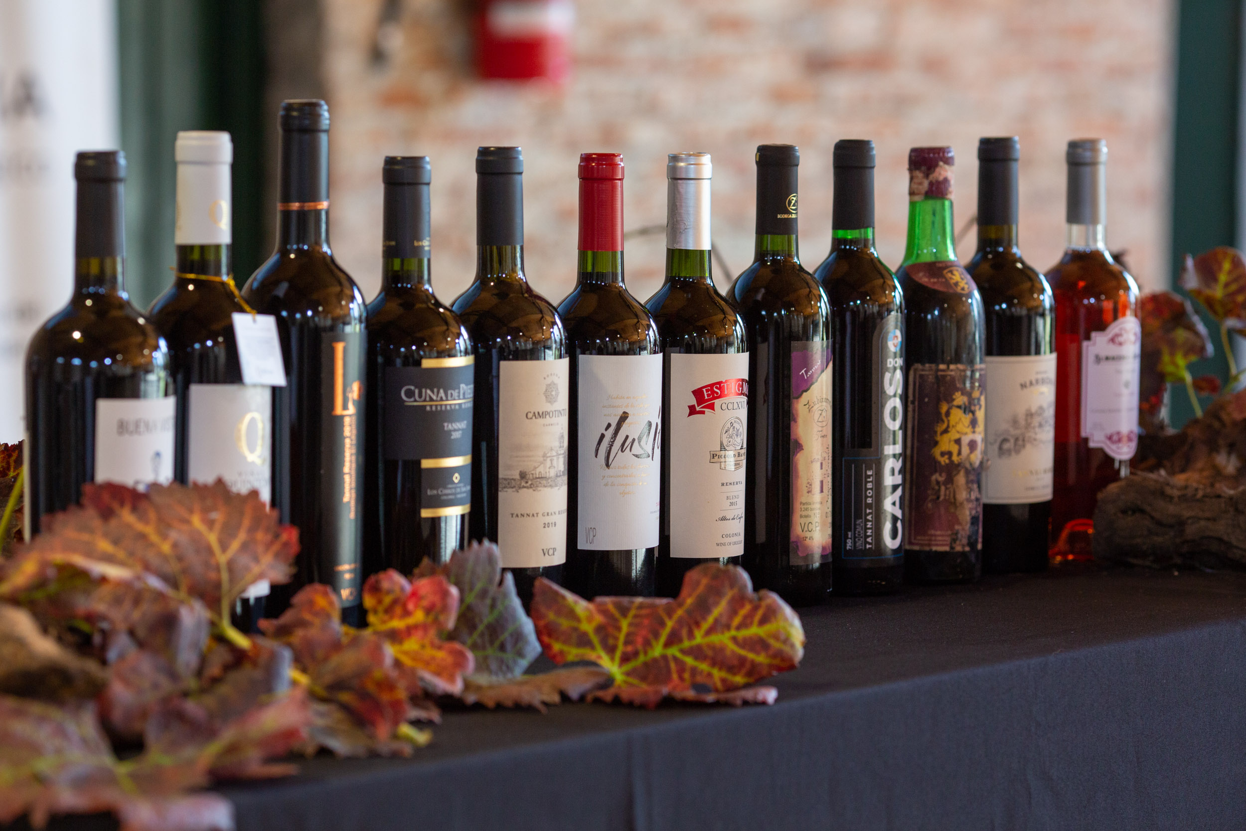 Bodegas de Colonia se unen para armar La Ruta del Vino