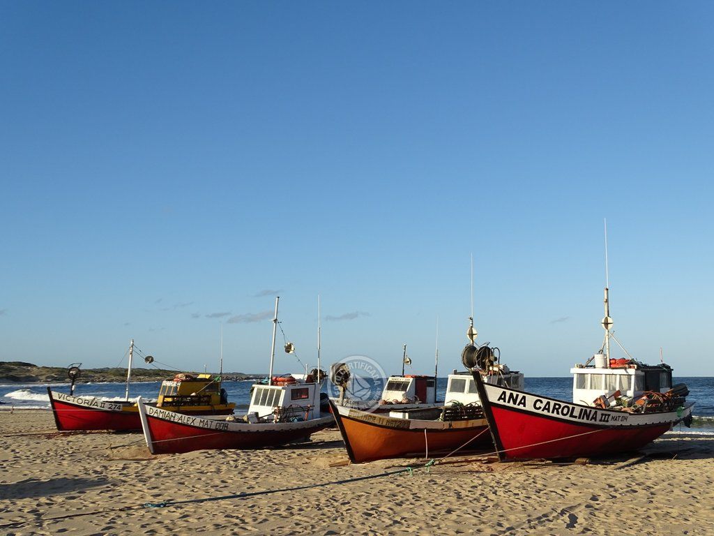 10 cosas que podés disfrutar y hacer en Punta del Diablo