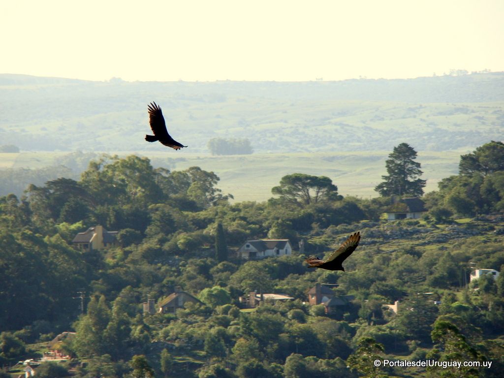 Cómo llegar a Villa Serrana