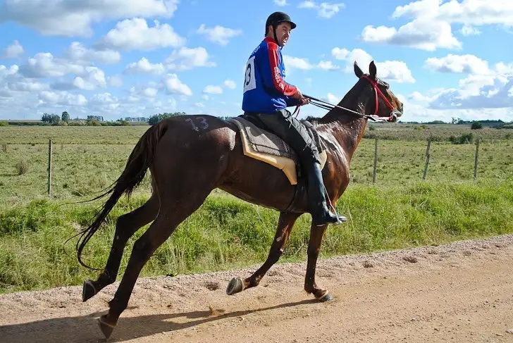 Rocha se llena de actividades culturales en agosto de 2024