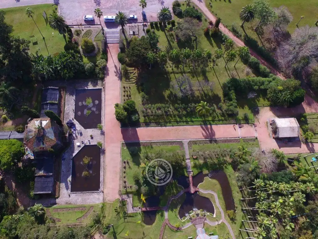 Eventos destacados en Rocha para diciembre 2024