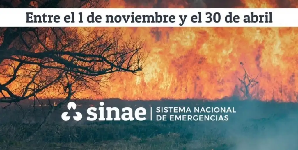 Prevención y sanciones: así rige la prohibición de quemas en Uruguay