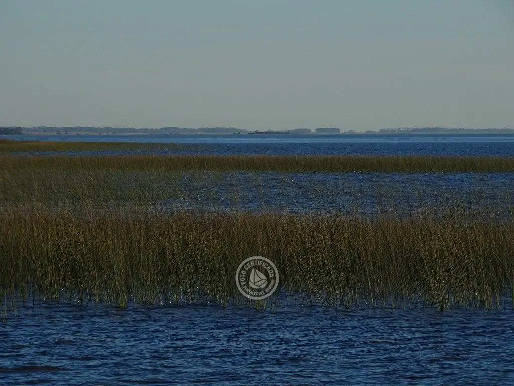 Dónde ir a una laguna en Uruguay: 13 opciones y qué se puede hacer en cada una