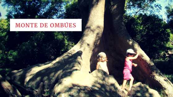 Monte de Ombúes